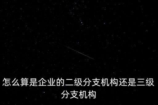 什么叫企業(yè)二級分支機構(gòu)，現(xiàn)在分公司要辦稅務(wù)登記證但是我想問一下二級分機構(gòu)指的是