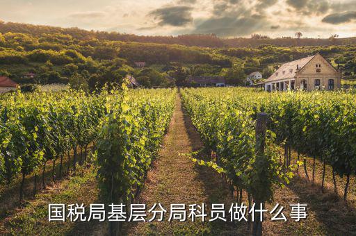 國稅局文秘干什么，公務(wù)員國稅局基層局科員和辦公室文秘哪個(gè)好