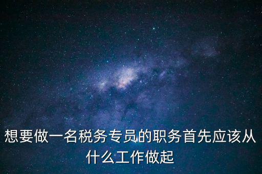稅務專員是做什么的，稅務坐席專員做什么
