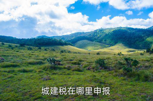 地稅城市維護建設稅按什么申報，城建稅申報