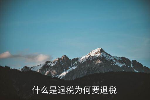 什么事退稅指標(biāo)，什么是退稅為何要退稅