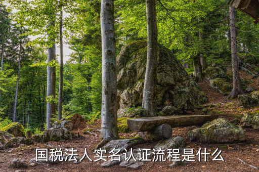 稅務(wù)實名認證需要什么，在國稅局辦理實名認證要準(zhǔn)備哪些資料