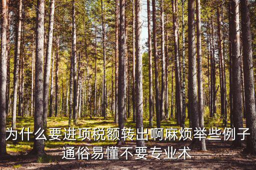 為什么要進(jìn)項(xiàng)稅額轉(zhuǎn)出，為什么要進(jìn)項(xiàng)稅額轉(zhuǎn)出啊麻煩舉些例子通俗易懂不要專業(yè)術(shù)