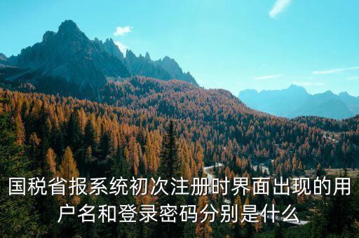 河南省國稅申報系統(tǒng)帳號是什么，請問國稅申報用戶號是什么密碼又是什么