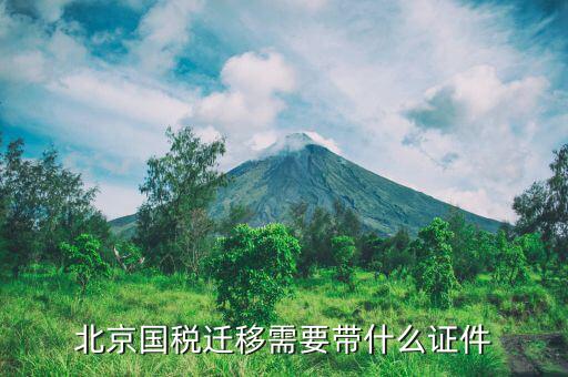 北京同一個(gè)區(qū)內(nèi)國稅遷所需要什么手續(xù)，北京國稅遷移需要帶什么證件