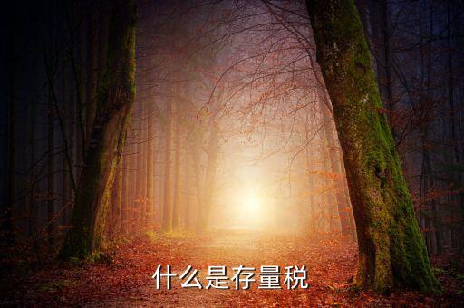 稅務(wù)存量戶指什么，稅務(wù)登記證轉(zhuǎn)非是什么意思
