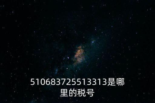 陜西省地方的稅號(hào)開頭是什么，510683725513313是哪里的稅號(hào)