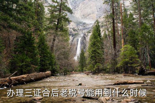 河南老稅號可以用到什么時候，三證合一后舊稅號的發(fā)票還能用嗎
