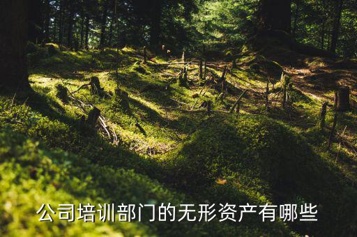 其他權益性無形資產(chǎn)是什么，無形資產(chǎn)屬于什么科目