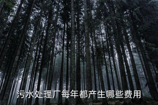 污水處理廠要交什么稅，污水處理廠屬于什么納稅行業(yè)