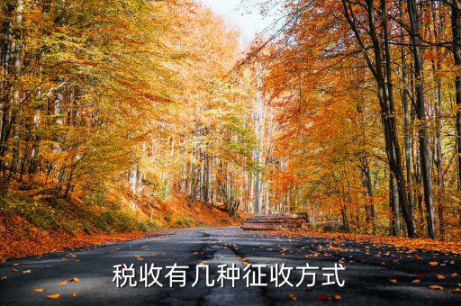 稅務征非稅采取什么方式，稅務征收有哪幾種