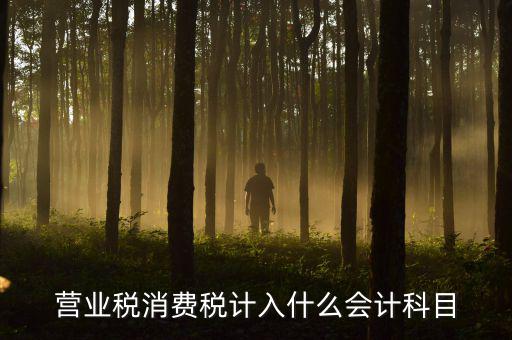 營業(yè)稅記什么科目，企業(yè)應交營業(yè)稅可以記入那個科目