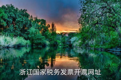 浙江地稅網(wǎng)址是什么意思，浙江國家稅務(wù)發(fā)票開票網(wǎng)址
