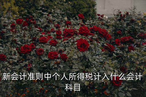 所得稅費用什么科目，新會計準則中個人所得稅計入什么會計科目