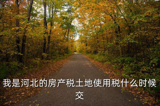 河北地稅申報(bào)后什么時(shí)候繳費(fèi)，我是河北的房產(chǎn)稅土地使用稅什么時(shí)候交