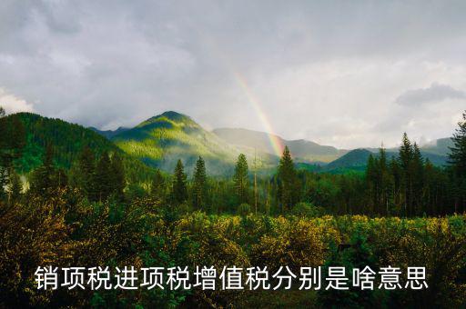 什么是銷項和進項，進項稅和銷項稅是什么意思