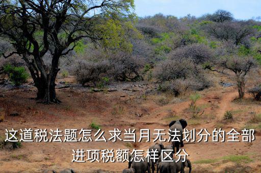 什么叫無法劃分的進項稅額，一般納稅人兼營免稅項目或者非增值稅應稅勞務而無法劃分不得抵