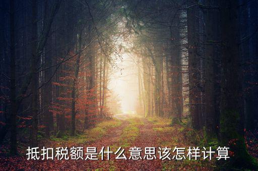 抵免稅額是什么意思，抵扣稅額是什么意思該怎樣計算