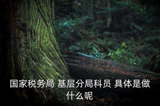 國地稅征管改革黨員干部干什么，國家稅務局 基層分局科員 具體是做什么呢