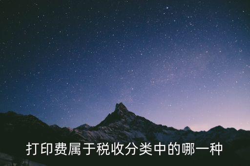 打字復(fù)印是什么稅種，我在鄉(xiāng)鎮(zhèn)辦了一家打字復(fù)印店請問需交納哪些稅