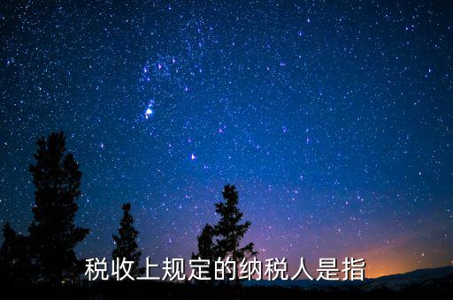 什么人是納稅人，納稅人的定義的什么