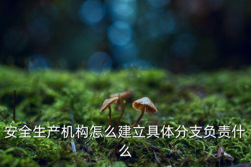什么是三級分支機(jī)構(gòu)，英語三級發(fā)證機(jī)構(gòu)是什么