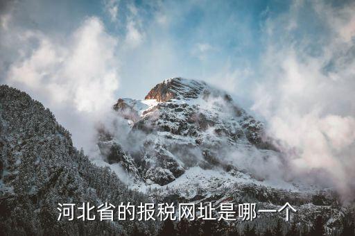 河北稅務(wù)官網(wǎng)是什么，怎么打開河北省國稅網(wǎng)站