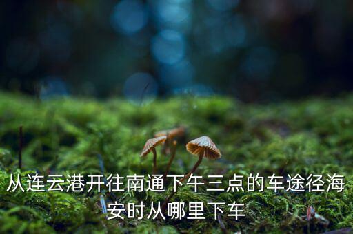 連云港到南通經(jīng)過(guò)什么地方，從連云港開(kāi)往南通下午三點(diǎn)的車(chē)途徑海安時(shí)從哪里下車(chē)
