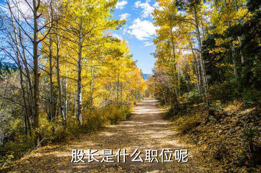 征管股股長是干什么的，稅務(wù)局 征收管理股股長 是個(gè)什么職務(wù)相當(dāng)于什么