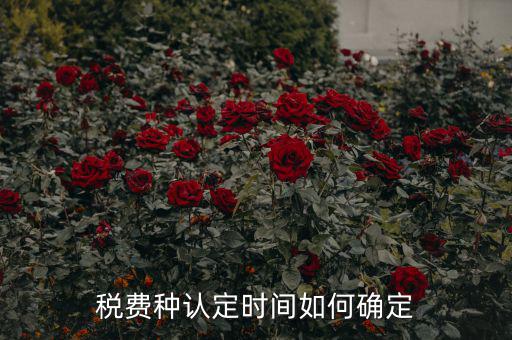 稅種認(rèn)定后什么時間申報，稅務(wù)局變更稅費(fèi)種認(rèn)定變更后多久可以可以報稅