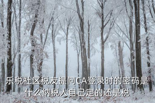 什么是國稅ca密碼，樂稅社區(qū)稅友提問CA登錄時(shí)的密碼是什么納稅人自己定的還是稅