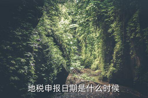 地稅清稅報告時間是什么原因，每月稅務(wù)申報時間什么時候