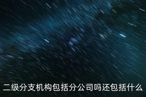 什么是二級(jí)分支機(jī)構(gòu)，現(xiàn)在分公司要辦稅務(wù)登記證但是我想問一下二級(jí)分機(jī)構(gòu)指的是