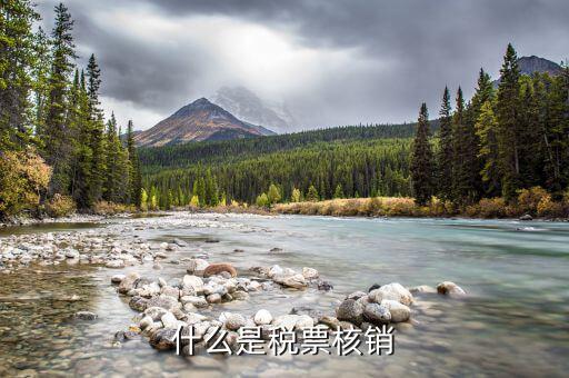 國(guó)稅局核銷是什么意思，增值稅專用發(fā)票核銷是什么意思