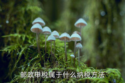 納稅郵件什么意思，郵政申稅屬于什么納稅方法