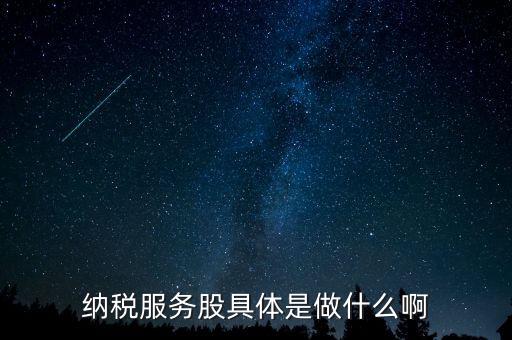 納稅服務(wù)股是什么意思，納稅服務(wù)股具體是做什么啊