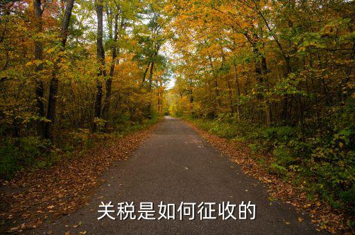 依據(jù)什么征收關(guān)稅，關(guān)稅是如何征收的