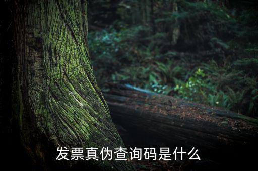 網(wǎng)絡(luò)發(fā)票查詢號是什么，發(fā)票真?zhèn)尾樵兇a是什么