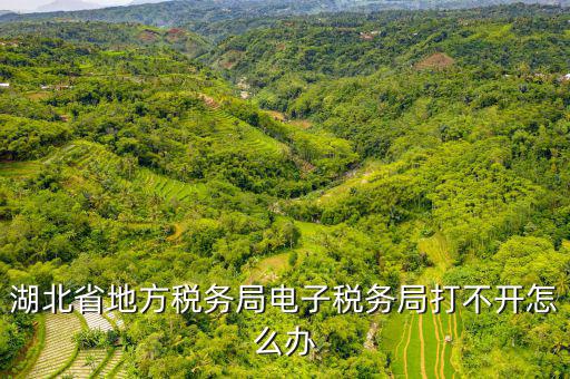 湖北電子地稅是什么，湖北省地方稅務(wù)局電子稅務(wù)局打不開怎么辦