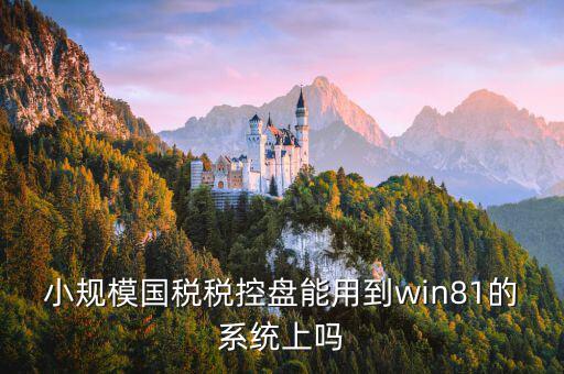稅盤安裝支持什么系統(tǒng)下載，稅控發(fā)票開票軟件v2130170612能在win10上安裝嗎