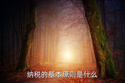 納稅原則是什么，納稅的基本原則是什么