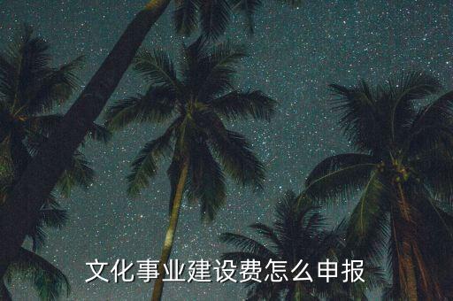 申報(bào)系統(tǒng)文化建設(shè)申報(bào)是什么時(shí)候，文化事業(yè)建設(shè)稅怎么申報(bào)