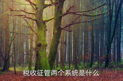 什么是稅收征管，什么是稅收征管工作的起點(diǎn)