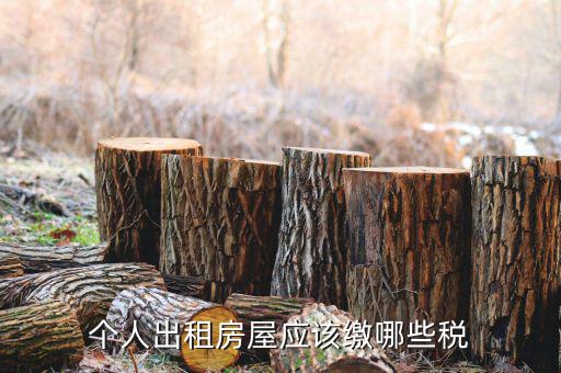 租金按什么征收個稅，個人租金收入如何扣稅
