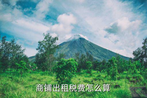 商鋪出租需要什么稅，出租商鋪的商業(yè)企業(yè)要繳納那些稅種