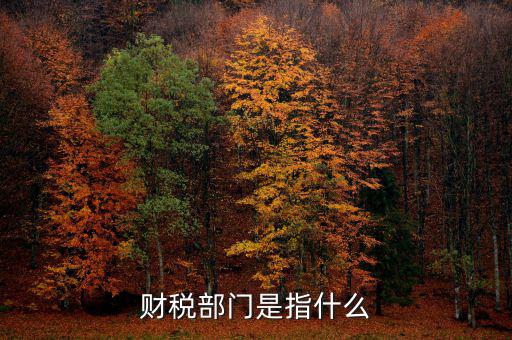 財稅征收保障網(wǎng)是什么，財稅部門是指什么