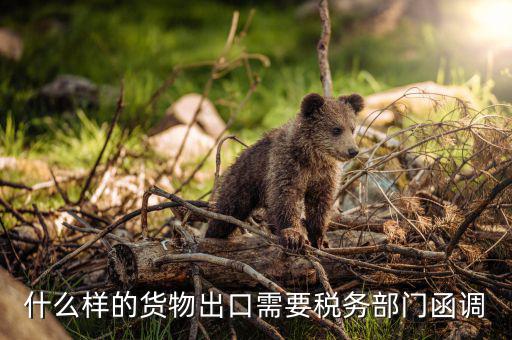 為什么要出口復(fù)函，國稅局函調(diào)后對方國稅局回復(fù)說貨物流常請問能否讓對方二次復(fù)