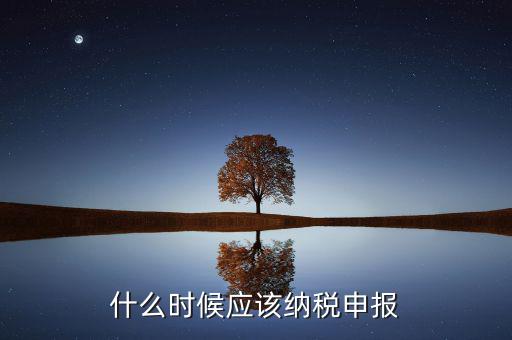 消費(fèi)稅什么時候申報(bào)，什么時候應(yīng)該納稅申報(bào)