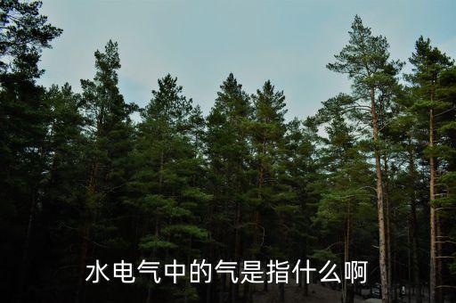水電氣退稅氣指什么，公租房的水電氣的氣是指什么