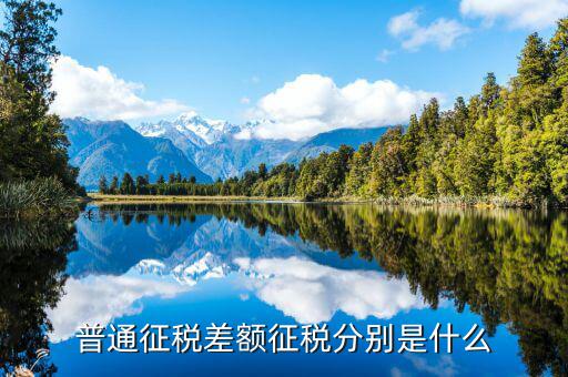 差額征收和簡易征收有什么區(qū)別，什么是差額征收